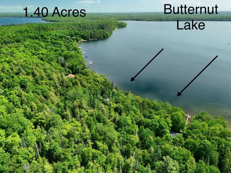 15042 Lakeview Rd, , Three Lakes,  WI 54562 United States