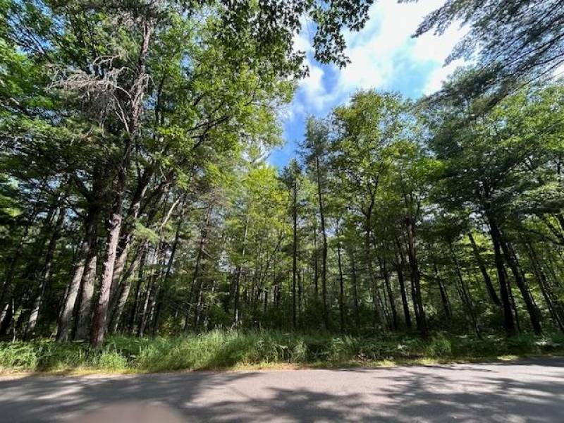 161 Zeman Rd, , Cloverland,  WI 54521 United States