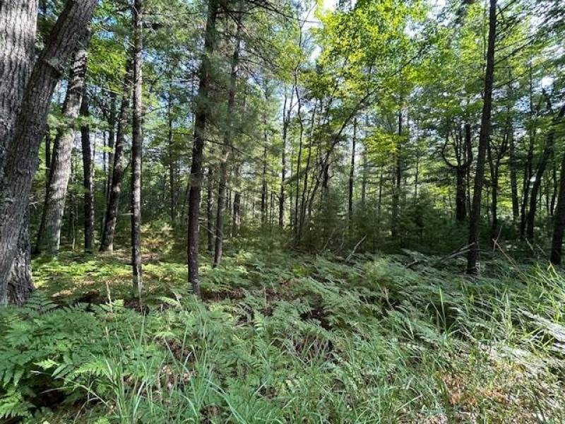 161 Zeman Rd, , Cloverland,  WI 54521 United States