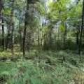 161 Zeman Rd, , Cloverland,  WI 54521 United States
