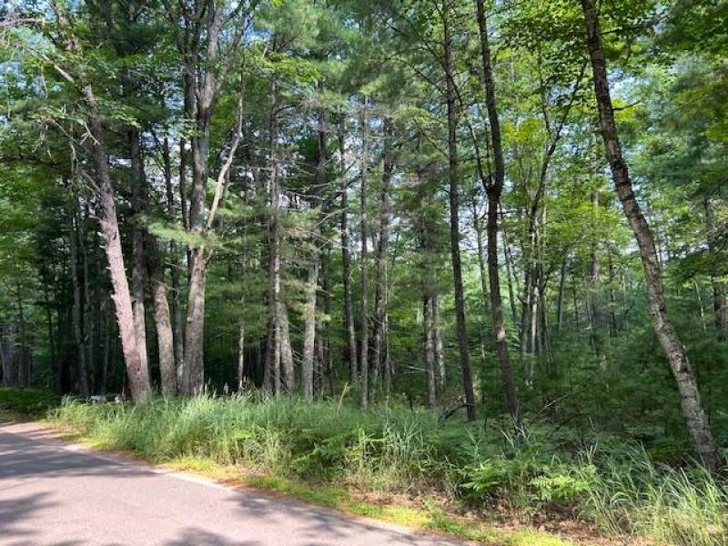 161 Zeman Rd, , Cloverland,  WI 54521 United States