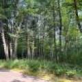 161 Zeman Rd, , Cloverland,  WI 54521 United States