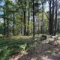 161 Zeman Rd, , Cloverland,  WI 54521 United States