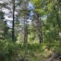 161 Zeman Rd, , Cloverland,  WI 54521 United States