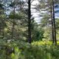 161 Zeman Rd, , Cloverland,  WI 54521 United States