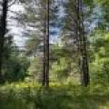 161 Zeman Rd, , Cloverland,  WI 54521 United States
