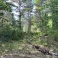 161 Zeman Rd, , Cloverland,  WI 54521 United States