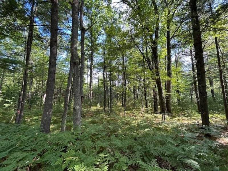 161 Zeman Rd, , Cloverland,  WI 54521 United States