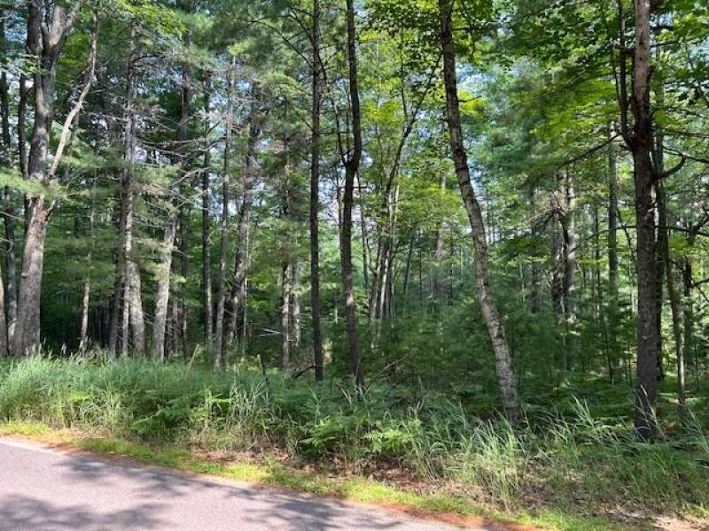 161 Zeman Rd, , Cloverland,  WI 54521 United States