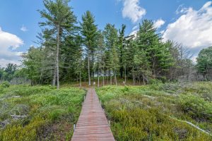 4073 Shangri La Rd, , Eagle River,  WI 54521 United States