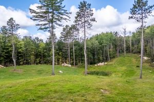4817 Sheep Rand Rd, , Cassian,  WI 54501 United States