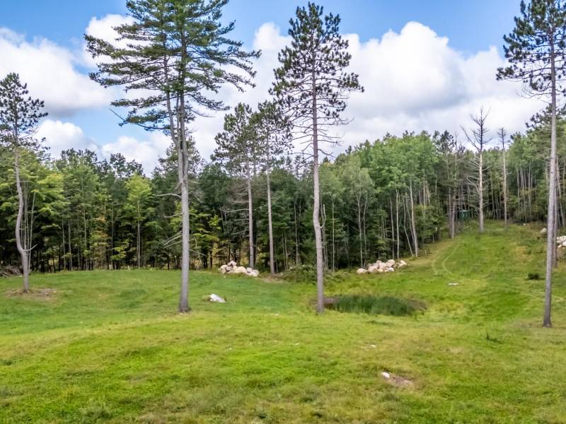 4817 Sheep Rand Rd, , Cassian,  WI 54501 United States