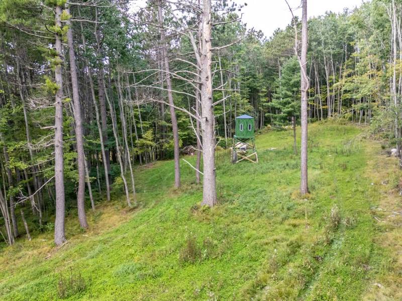 4817 Sheep Rand Rd, , Cassian,  WI 54501 United States