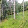 4817 Sheep Rand Rd, , Cassian,  WI 54501 United States