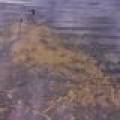 4817 Sheep Rand Rd, , Cassian,  WI 54501 United States