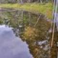 4817 Sheep Rand Rd, , Cassian,  WI 54501 United States
