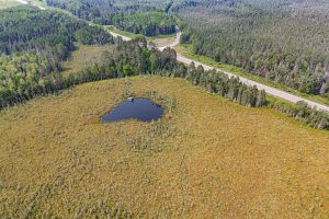 5010 US HWY 45, , Three Lakes,  WI 54562 United States