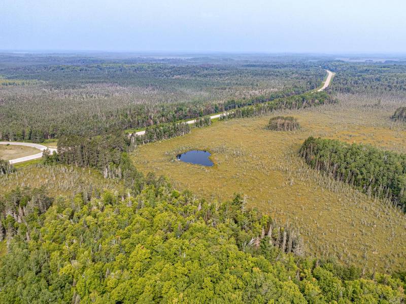 5010 US HWY 45, , Three Lakes,  WI 54562 United States