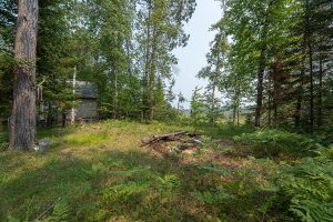 5010 US HWY 45, , Three Lakes,  WI 54562 United States