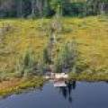 5010 US HWY 45, , Three Lakes,  WI 54562 United States