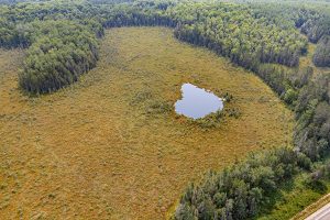 5010 US HWY 45, , Three Lakes,  WI 54562 United States
