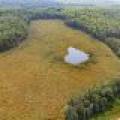 5010 US HWY 45, , Three Lakes,  WI 54562 United States