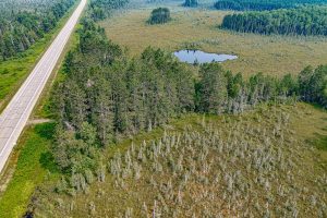 5010 US HWY 45, , Three Lakes,  WI 54562 United States