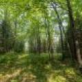 5010 US HWY 45, , Three Lakes,  WI 54562 United States