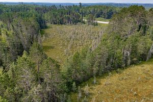 5010 US HWY 45, , Three Lakes,  WI 54562 United States