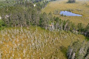 5010 US HWY 45, , Three Lakes,  WI 54562 United States