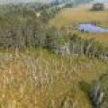5010 US HWY 45, , Three Lakes,  WI 54562 United States