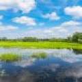 5128 Evergreen Ct, , Newbold,  WI 54501 United States