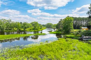 5128 Evergreen Ct, , Newbold,  WI 54501 United States