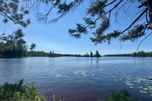 553 Reed Rd, , Three Lakes,  WI 54562 United States