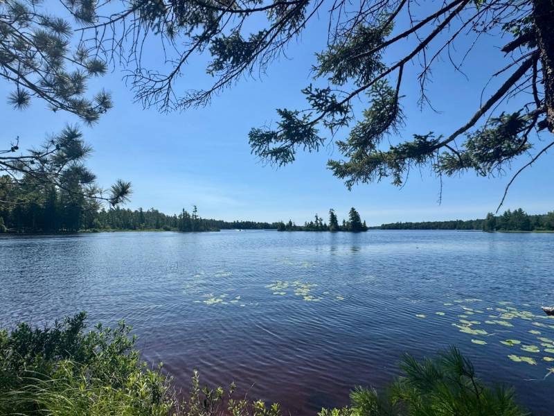 553 Reed Rd, , Three Lakes,  WI 54562 United States