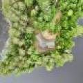 553 Reed Rd, , Three Lakes,  WI 54562 United States