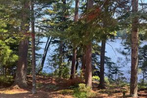 553 Reed Rd, , Three Lakes,  WI 54562 United States