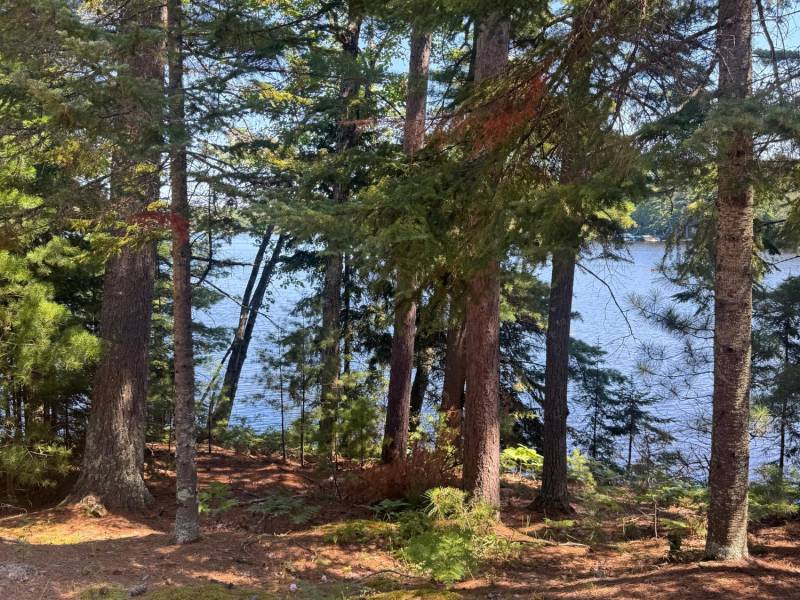 553 Reed Rd, , Three Lakes,  WI 54562 United States