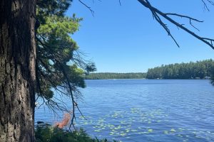 553 Reed Rd, , Three Lakes,  WI 54562 United States
