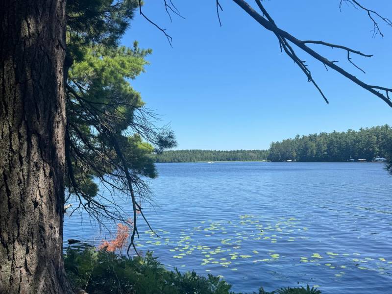 553 Reed Rd, , Three Lakes,  WI 54562 United States