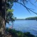 553 Reed Rd, , Three Lakes,  WI 54562 United States