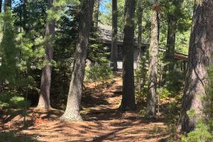 553 Reed Rd, , Three Lakes,  WI 54562 United States