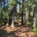 553 Reed Rd, , Three Lakes,  WI 54562 United States