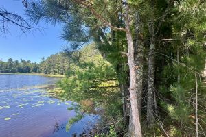 553 Reed Rd, , Three Lakes,  WI 54562 United States