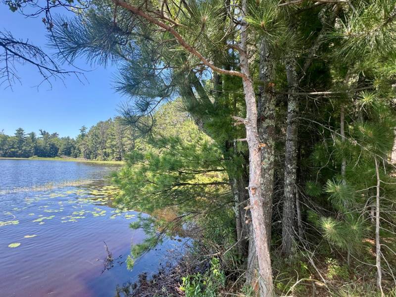 553 Reed Rd, , Three Lakes,  WI 54562 United States