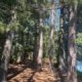 553 Reed Rd, , Three Lakes,  WI 54562 United States