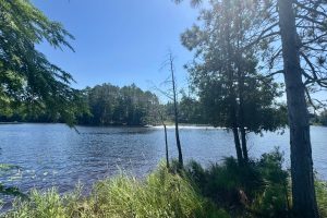 553 Reed Rd, , Three Lakes,  WI 54562 United States