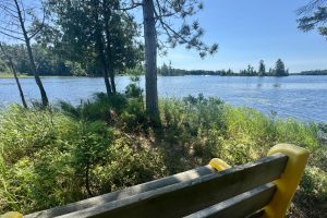 553 Reed Rd, , Three Lakes,  WI 54562 United States