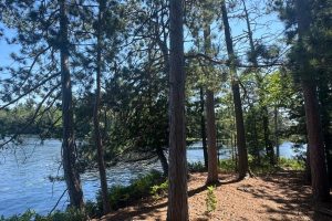 553 Reed Rd, , Three Lakes,  WI 54562 United States