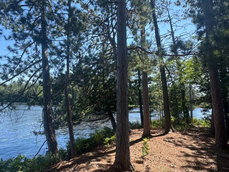 553 Reed Rd, , Three Lakes,  WI 54562 United States